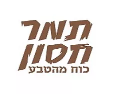 עידו חסון